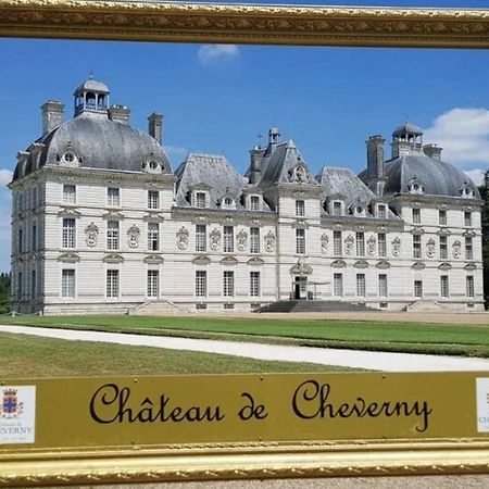 Les Capucines Proche Beauval & Chateaux Saint-Aignan  Dış mekan fotoğraf