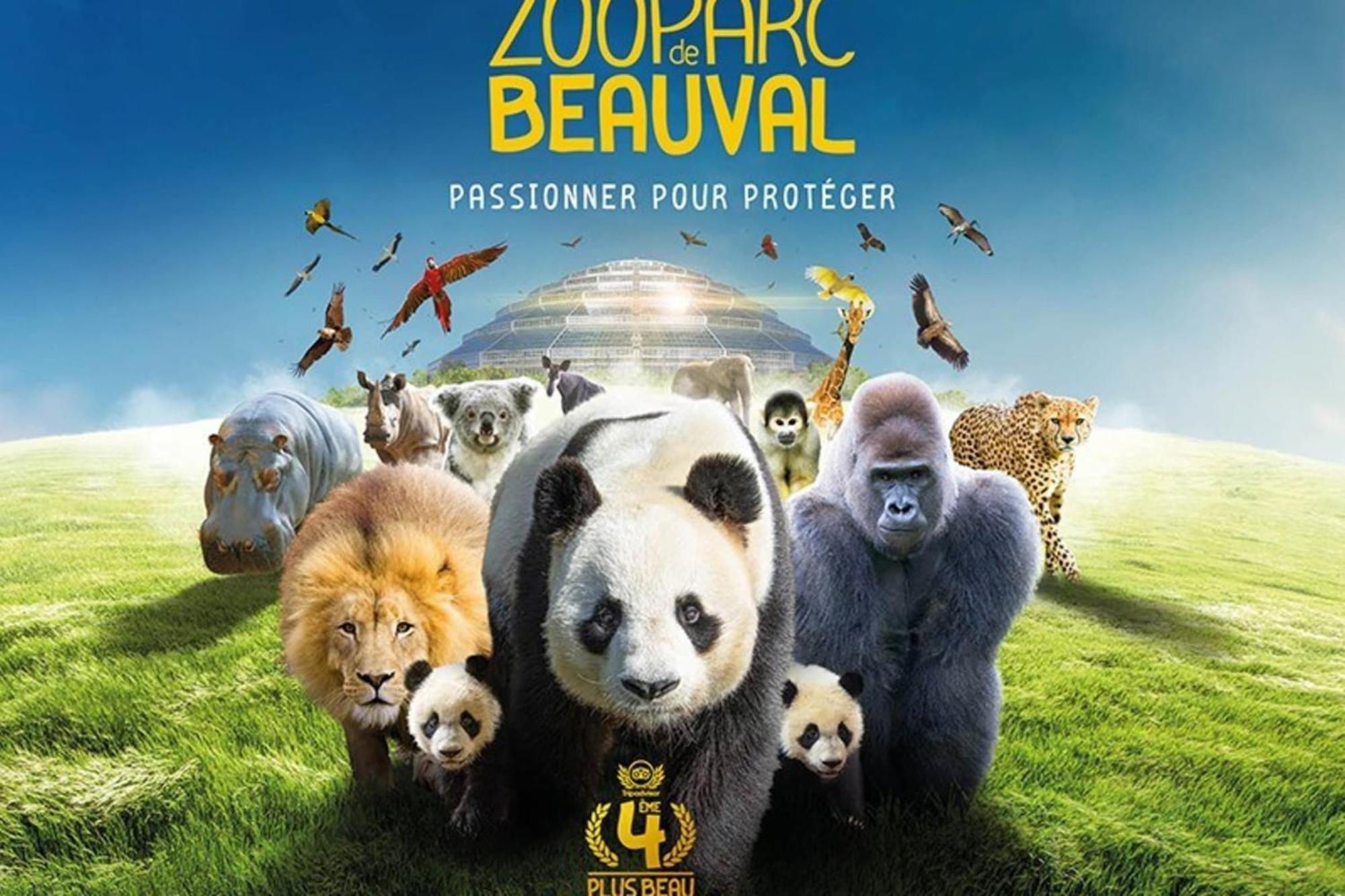 Les Capucines Proche Beauval & Chateaux Saint-Aignan  Dış mekan fotoğraf